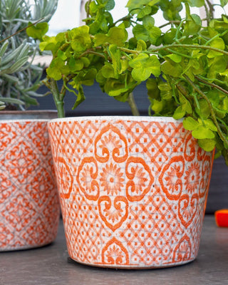 Antique Style Terracotta Ceramic Herb Plant Pots