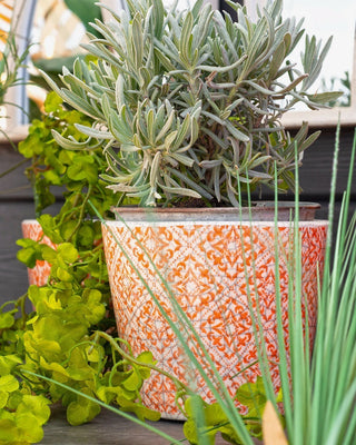 Antique Style Terracotta Ceramic Herb Plant Pots