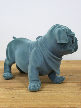 Abstract Teal Bulldog