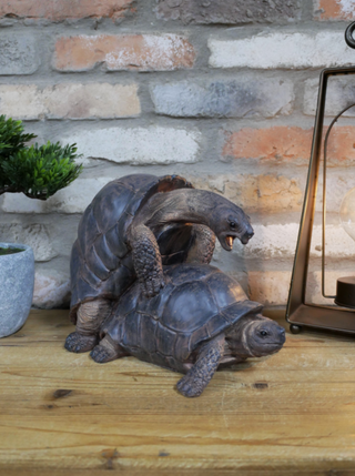 Naughty Tortoises Garden Ornament