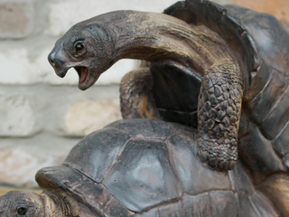 Naughty Tortoises Garden Ornament