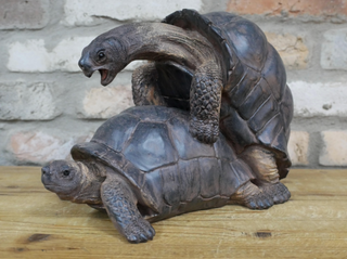 Naughty Tortoises Garden Ornament