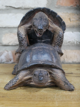 Naughty Tortoises Garden Ornament