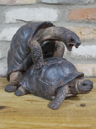Naughty Tortoises Garden Ornament