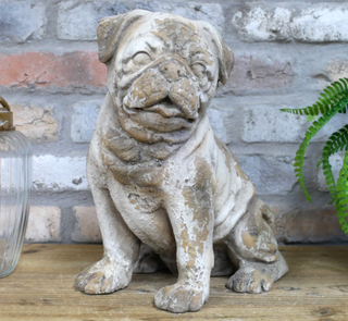 Arthur the Sitting Dog