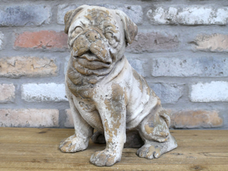 Arthur the Sitting Dog
