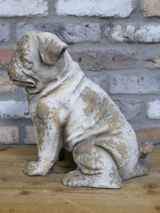 Arthur the Sitting Dog