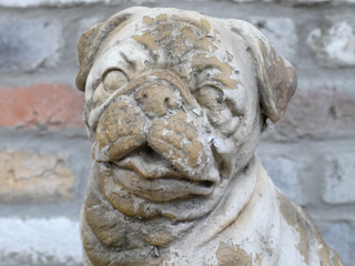 Arthur the Sitting Dog