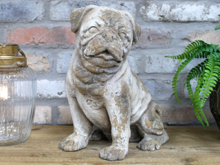 Arthur the Sitting Dog