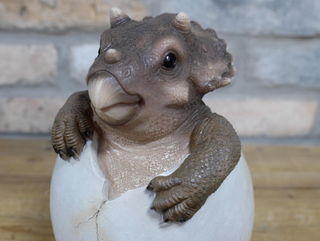 Triceratops Hatching Egg