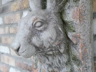 Rabbit Wall Bust