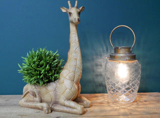 Sitting Giraffe Planter