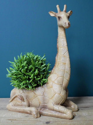 Sitting Giraffe Planter