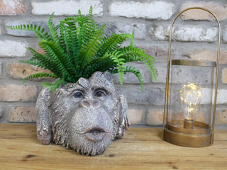 Rustic Monkey Head Planter
