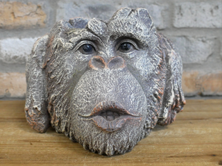 Rustic Monkey Head Planter