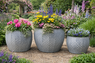 Set of 3 Galvanised Zinc Planters