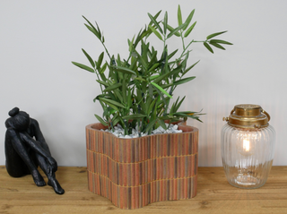 Boho Miami Retro Chic Planter