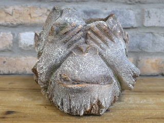 Rustic Monkey Head Plant Pot