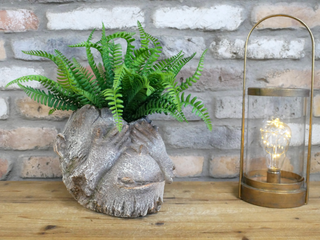Rustic Monkey Head Plant Pot