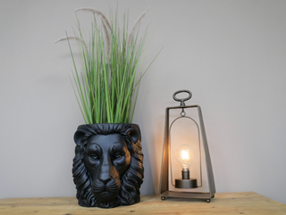 Black Lion Head Planter