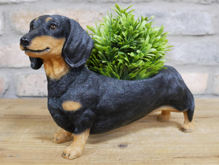 Dachshund Planter
