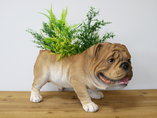 British Bulldog Planter
