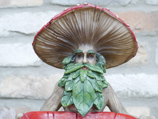 Quirky Mushroom Man Garden Ornament