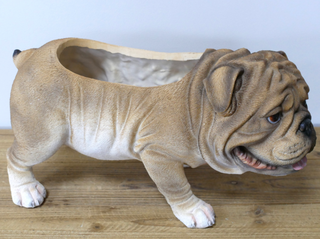 British Bulldog Planter