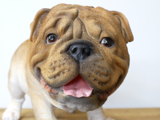 British Bulldog Planter
