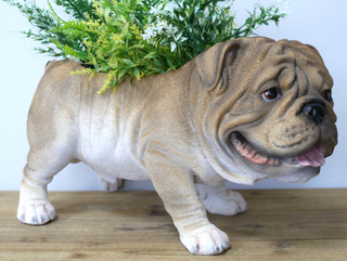 British Bulldog Planter