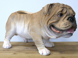 British Bulldog Planter
